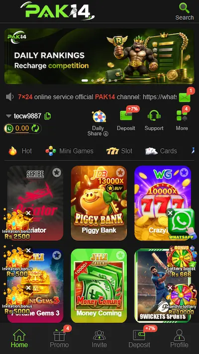 Pak14 Game
