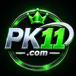 pk11 game